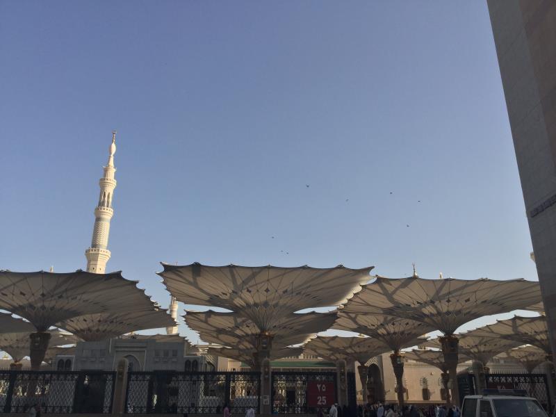 Hotel Golden Tulip Al-zahabi 3*